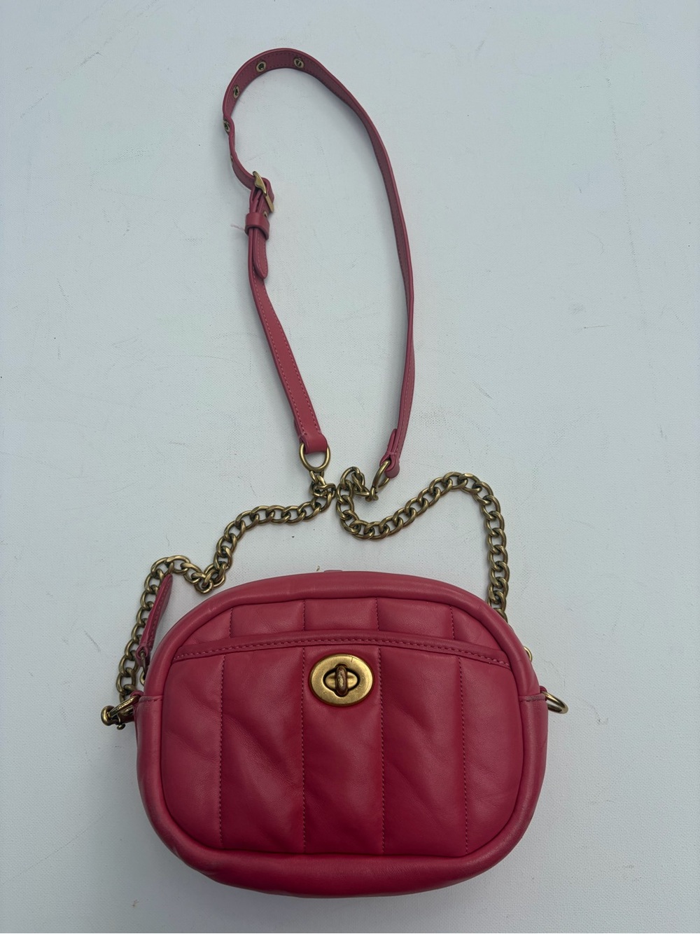 Coach Watermelon Camera Bag